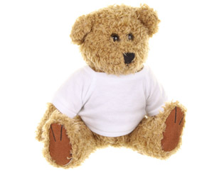 Teddy